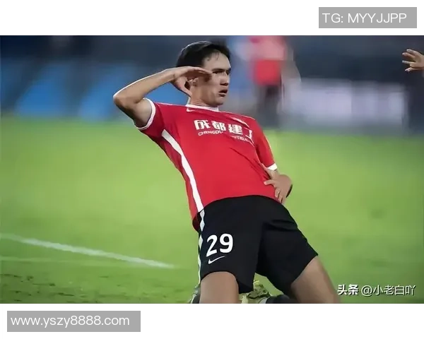 中国足球星光璀璨照亮赛场未来青年才俊崭露头角