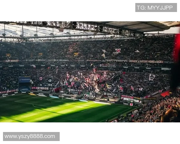 从未踏上绿茵场却拥有传奇地位的世界足球球星们