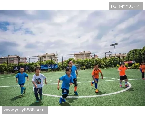 兔子足球天才崛起 领衔绿茵场展现非凡球技与速度