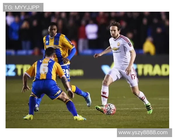 威尔斯足球明星人物盘点及其在国际赛场上的辉煌成就分析 威尔斯足球明星人物盘点及其在国际赛场上的辉煌成就分析